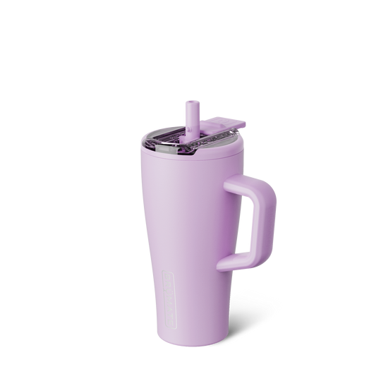 Era Flip 20oz | Lavender