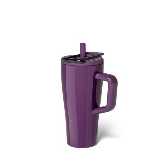Era Flip 20oz | Plum